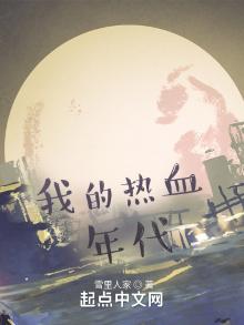 我的热血年代小说