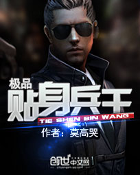 极品贴身兵王小说免费下载