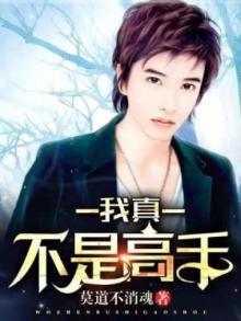 我真不是高手莫
