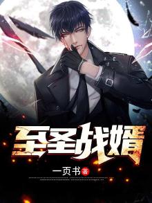 小说 至圣