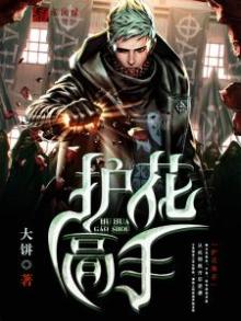 桃源护花高手