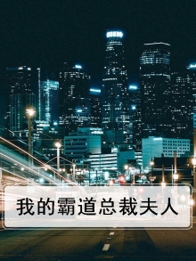 我的霸道总裁夫人