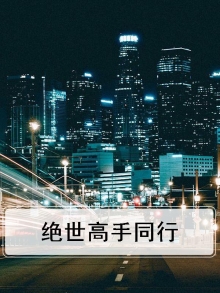 绝世高手同行