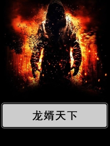 龙婿全本免费阅读
