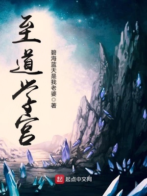 诸道学宫 小说
