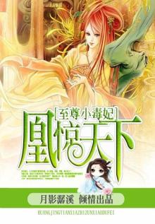 凰惊天下:至尊小毒妃 第3章