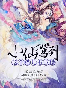猫小仙女