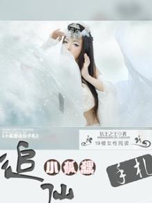 小狐狸手册