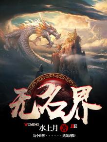 无名界 小说