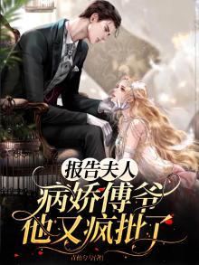 报告夫人,傅总