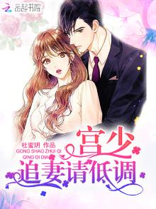 宫少宠妻 小说