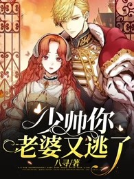 少帅你老婆又跑了小说
