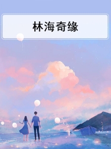 林海奇石景区在哪里