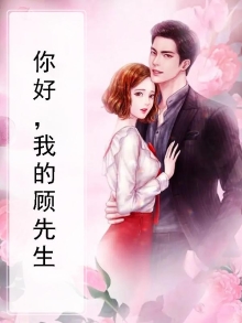 你好,顾先生 小说