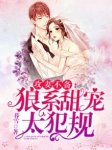总裁甜妻大结局介绍