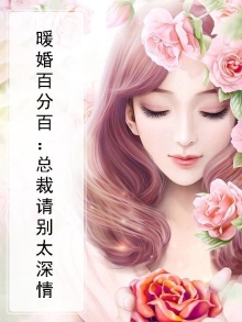 暖婚100分,总裁轻点宠免费