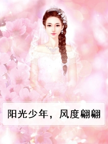 阳光少年,风度翩翩是什么歌