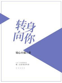 转身mv