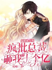 总裁骗婚前妻 小说