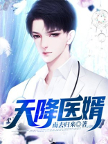 天降医婿免费阅读
