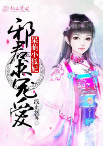 呆萌小狐妃,邪君求宠爱