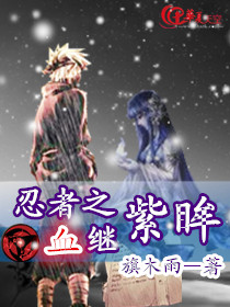 忍者之印是什么东西