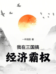 我在三国搞经济霸权小说