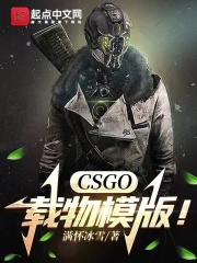 csgo载物模版小说