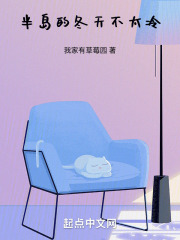 半岛的半岛