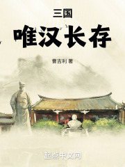 三国唯汉长存 小说