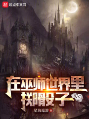 在巫师世界里掷骰子怎么玩