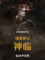 暗黑修仙:神临