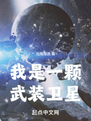 我是一个卫星
