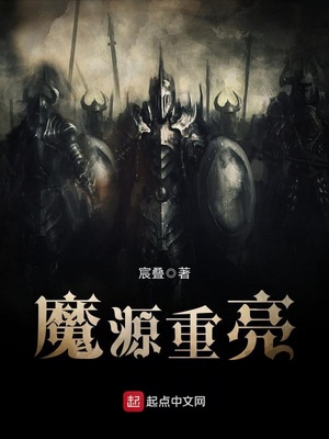 魔源重亮 小说
