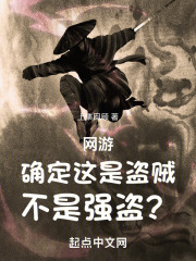网游:确定这是盗贼,不是强盗的小说