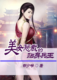 美女总裁的贴身兵王秦风林琬琰小说