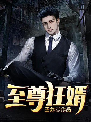 至尊狂婿电视剧在线观看