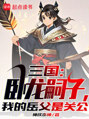 家父诸葛亮,我打造了千年大汉无防盗