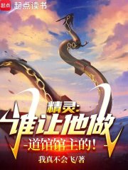 精灵,谁让他做道馆馆主的下载