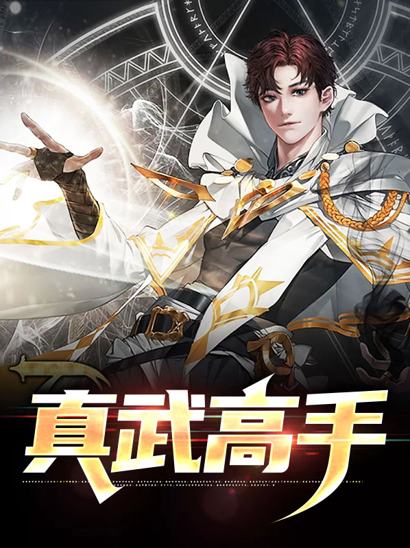 真武高手云家小说