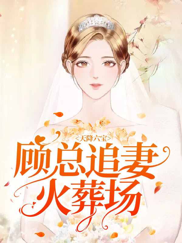 天降六宝首席总裁