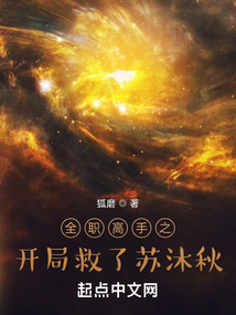 全职高手之开局救了苏沐秋洪都