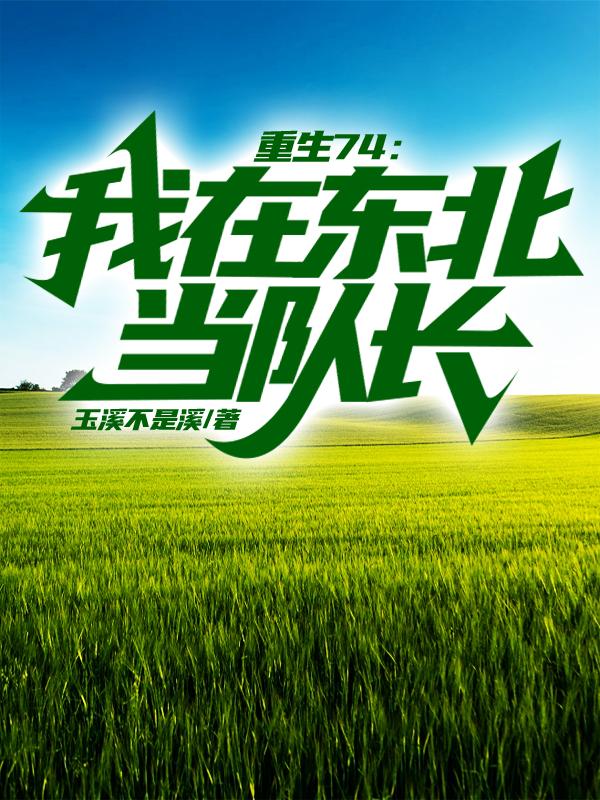 重生74我在东北当队长下载