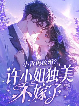 小说,小青梅