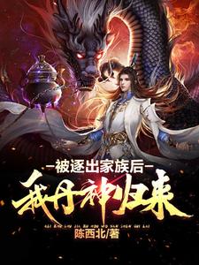 被逐出家族后,我丹神归来 小说