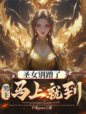 圣女不可能是男孩子全文免费阅读