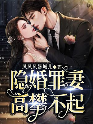 隐婚罪妻,高攀不起电视剧在线看
