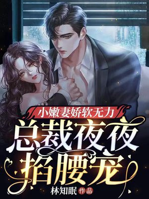总裁夜宠小甜妻小说