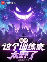 精灵这个训练家太野了我真不会飞