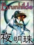 夜明珠是什么材质的